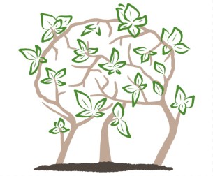 growing a brain illustration